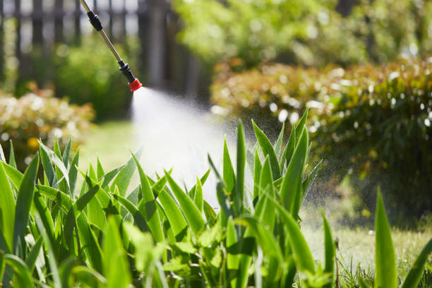 Tamper-Resistant Bait Stations for Rodents in Lake Elsinore